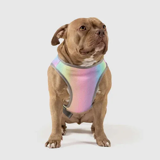 Canada Pooch Chill Seeker Cooling Vest Rainbow