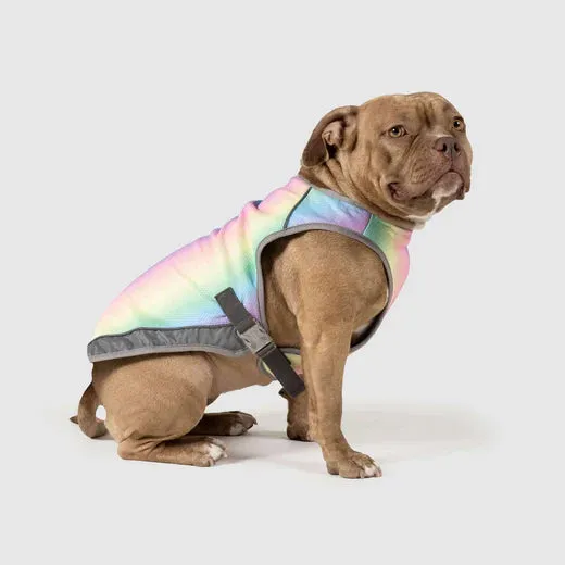 Canada Pooch Chill Seeker Cooling Vest Rainbow