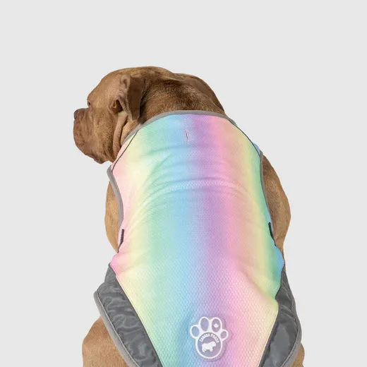 Canada Pooch Chill Seeker Cooling Vest Rainbow