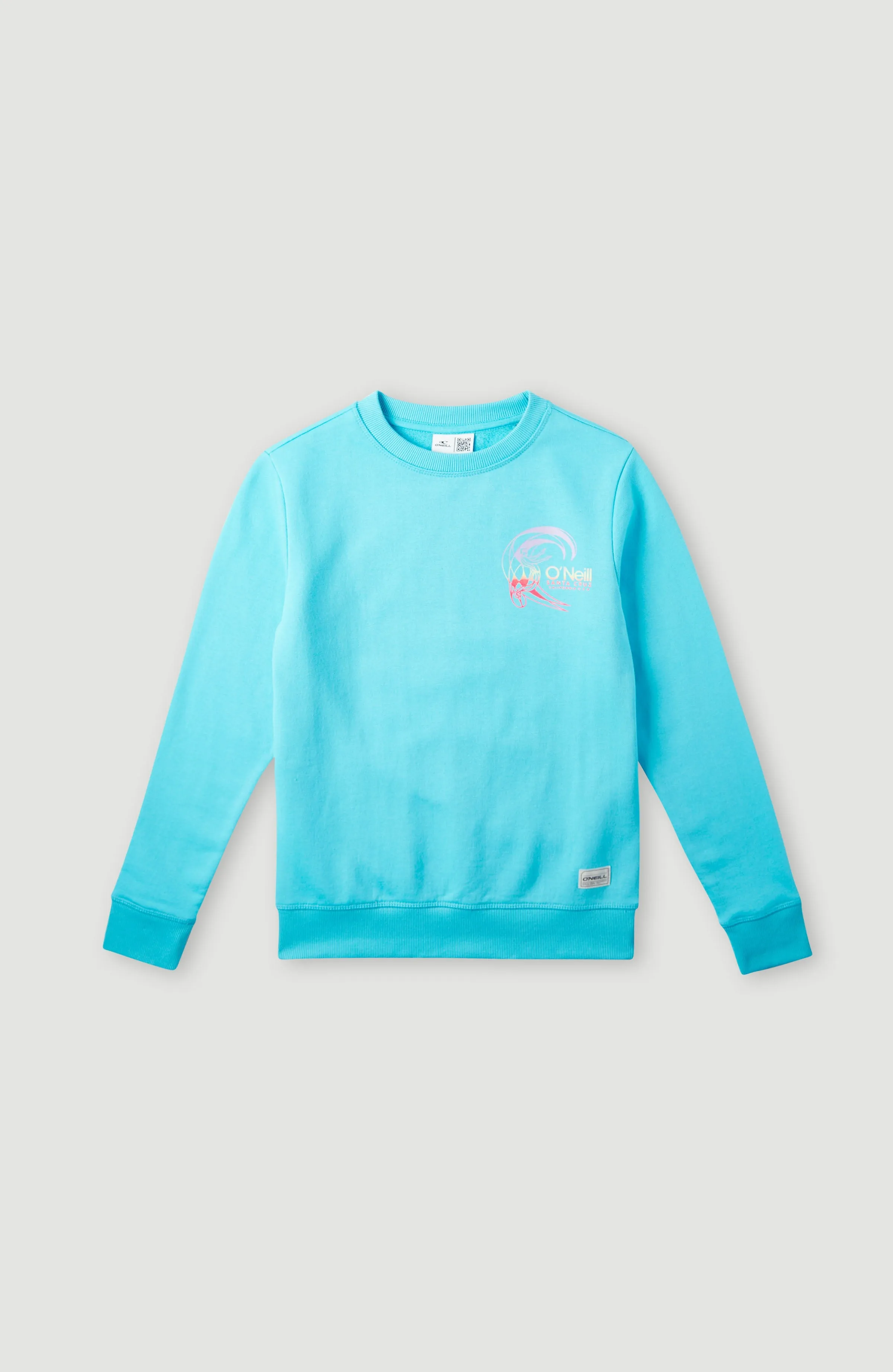 Circle Surfer Crew Sweatshirt | Bachelor Button